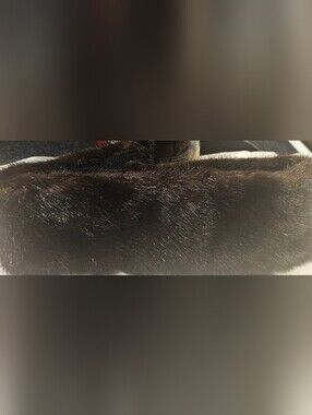Plush Black Faux Fur Collar Cover - Soft Comfort